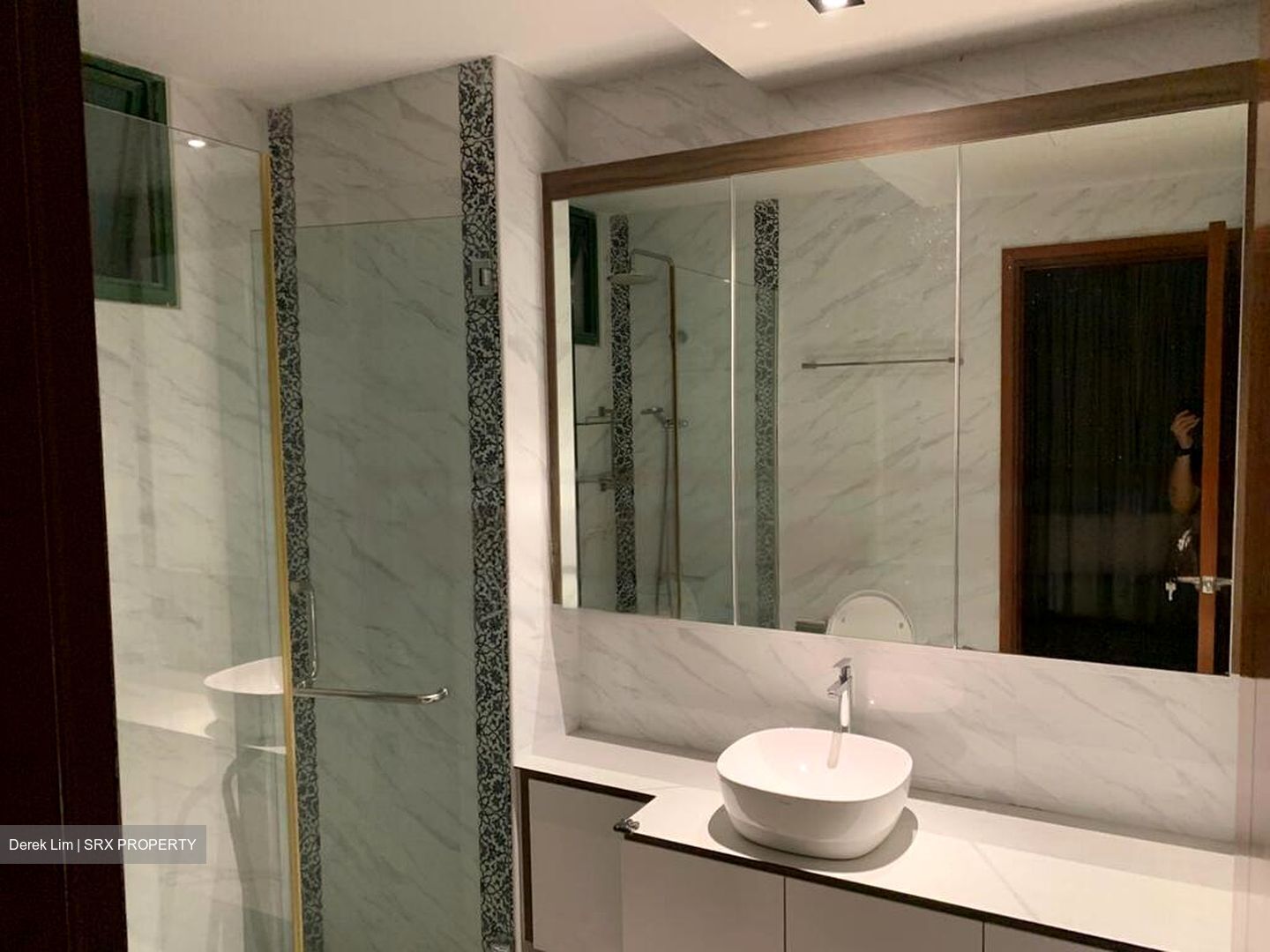 Signature Park (D21), Condominium #480849881